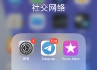 [纸飞机app中文版设置方法]纸飞机app怎么弄成中文版的