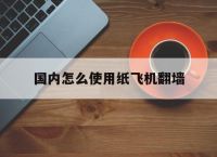 关于国内怎么使用纸飞机翻墙的信息