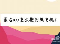 纸飞机app怎么设置中文-纸飞机app设置中文安装包