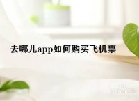 飞机是什么app-哪个app可以看飞机飞到哪里了