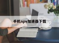 [手机npv加速器下载]海外npv加速器破解版