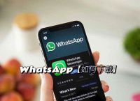 包含最新版本whatsapp手机安装apk的词条