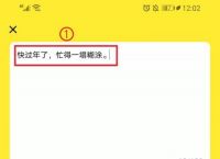 纸飞机app修改为中文-纸飞机app如何设置中文