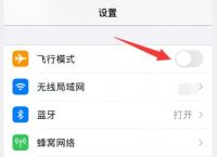 苹果手机飞机软件怎么设置中文-苹果手机飞机软件怎么设置中文模式