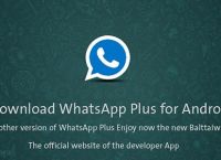 whatsapp怎么读音标-Whatsapp客户在线但消息未读