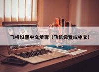 手机版纸飞机怎么设置中文版-手机纸飞机怎么设置中文版教程