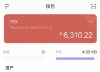 usdt钱包余额查询-怎么查usdt交易记录