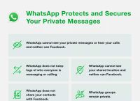 whatsapp能用中国手机号登入吗-whatsapp可以用中国手机号注册吗