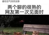 电报猴子骂人-电报猴子骂人语言