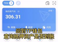 tp钱包如何买币-tp钱包买币出现划点容差