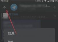 [telegreat中文版怎么设置视频]telegreat中文版496下载