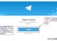 Telegram(电报)-telegeram官网版下载