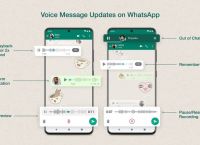 whatsapp聊天软件下载-whatsapp downloadapk