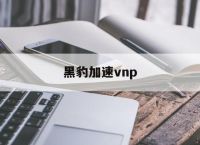 黑豹加速vnp:黑豹加速器官网版最新版下载