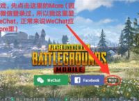 苹果下载pubg国际版:苹果下载pubg国际版要付费吗