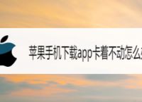 苹果13下载不了app怎么办:苹果13下载不了app怎么办呢