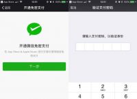 苹果不能下载app,说绑定的微信支付无效怎么回事:苹果不能下载app,说绑定的微信支付无效怎么回事儿