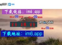 im钱包教程:im钱包使用人群