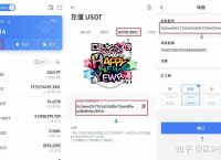 usdt钱包地址可以查到本人:怎么查询usdt钱包地址的交易记录