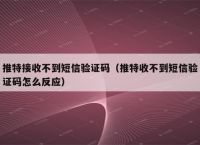 飞机收不到验证码怎么登陆账号:飞机收不到验证码怎么登陆账号呢