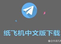 关于纸飞机官方中文版最新版的信息