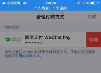 苹果不能下载app,说绑定的微信支付无效:苹果不能下载app,说绑定的微信支付无效怎么回事