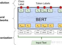 关于tokenization技术的信息