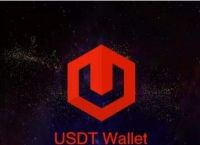 usdt钱包地址在哪里:usdt钱包地址在哪里查看