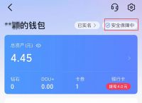 tokenpocket钱包安装:token pocket钱包安全吗