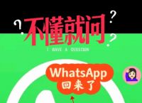 此whatsapp版本已与:whatsapp update