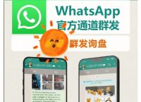 关于whatsapp怎么加好友香港区号的信息