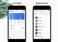 tp钱包怎么下载安装:tp钱包app下载安装