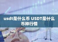 usdt中文叫什么:usdt中文名怎么读