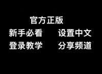 关于纸飞机语言怎么转化成中文的信息