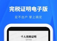 下载个人所得税app并安装手机版:下载个人所得税app最新版本并安装