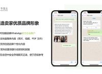 whatsapp中国官网:WhatsApp中国官网入口