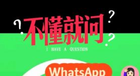 what’sapp下载:whatsapp下载最新