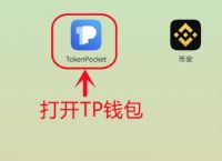 tp钱包bsc教程:tp钱包bsc链怎么打开