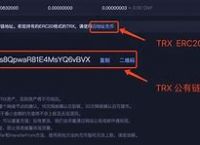 [火币网的trc20是什么通道]火币网TRC20为什么提现不了