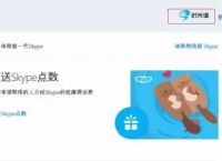 [skype的汉语是什么]skype英语是什么意思