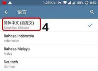 [telegram设置语言包]telegram语言包放在哪里