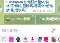 关于telegram怎么找项目的信息