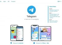 关于Telegram怎么看历史视频的信息