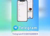 [telegram怎么改语言]telegram如何设置语言