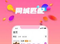 [飞机聊天软件app]飞机聊天软件app怎接图