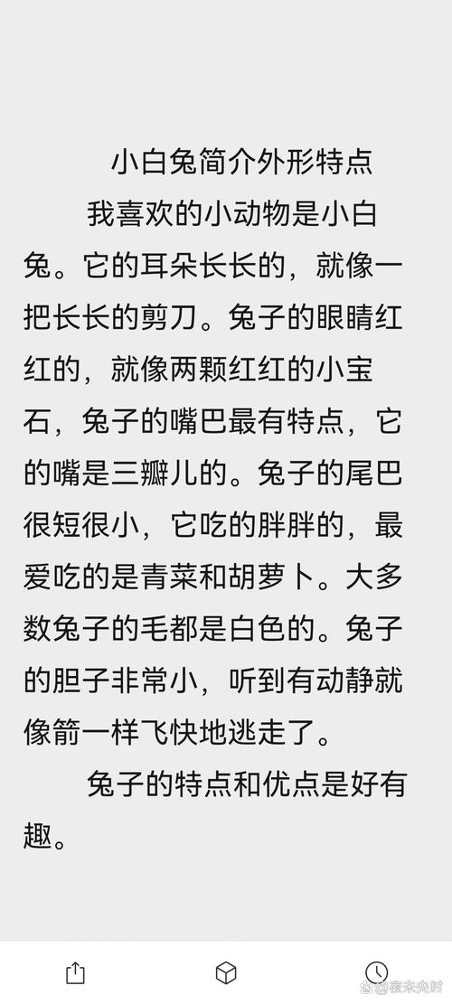 “小兔子”代表什么生肖的简单介绍