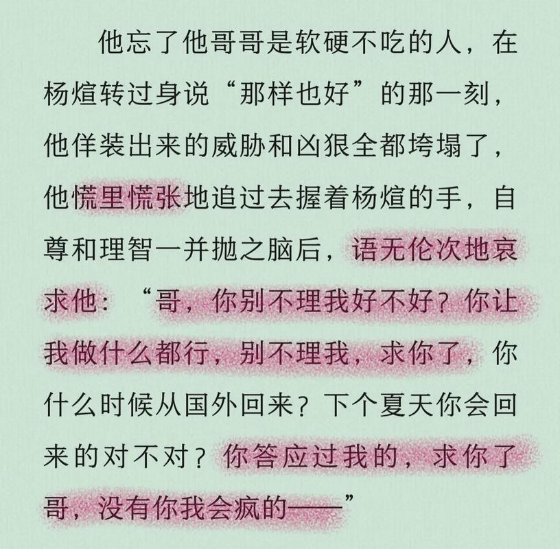 纸飞机小说by潭石讲的什么:纸飞机by 潭石全文免费阅读