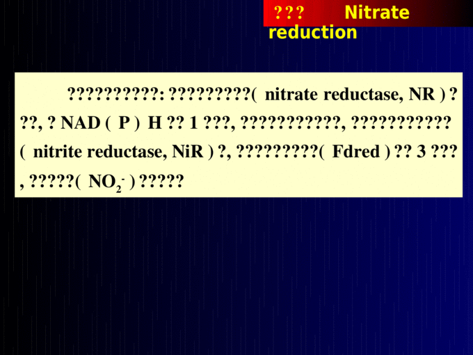 关于为什么as2in1没有虚拟号码的信息