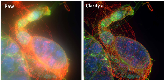 [microscope什么意思]microscope什么意思啊