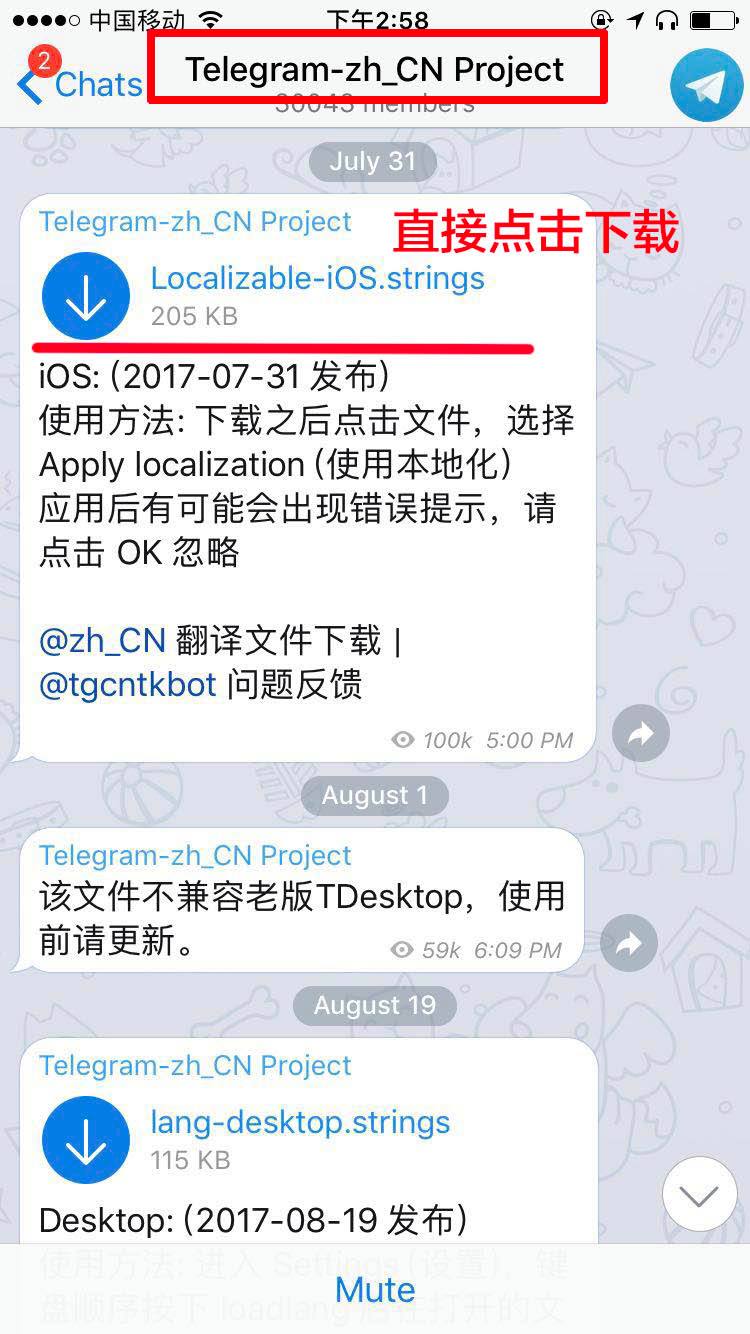 关于telegram视频文件怎么打开的信息